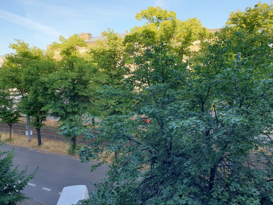 20200805_071201.jpg