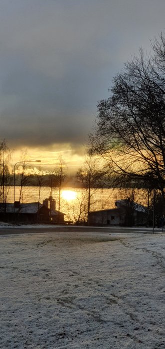 20201129_125923.jpg