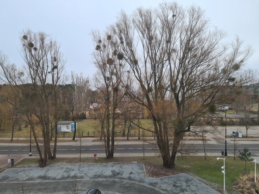 20210303_083039.jpg