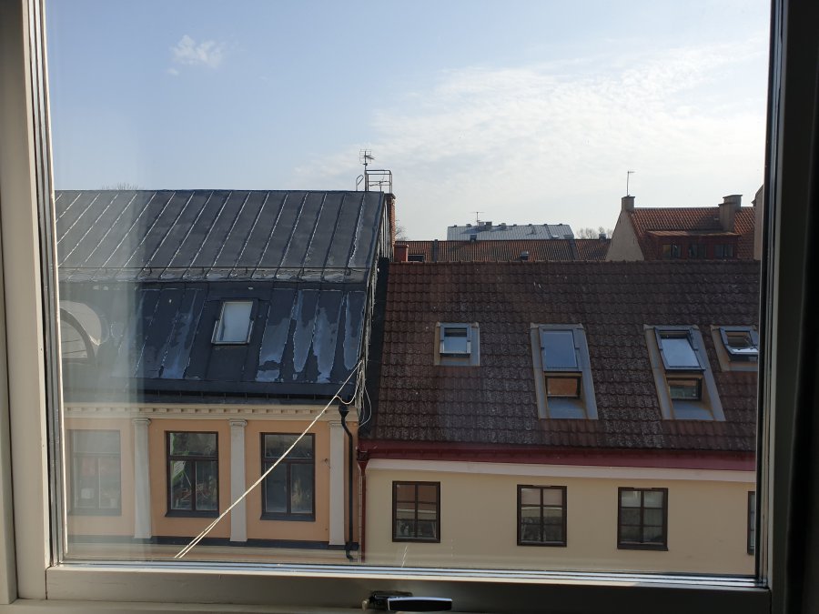 20210417_094856.jpg