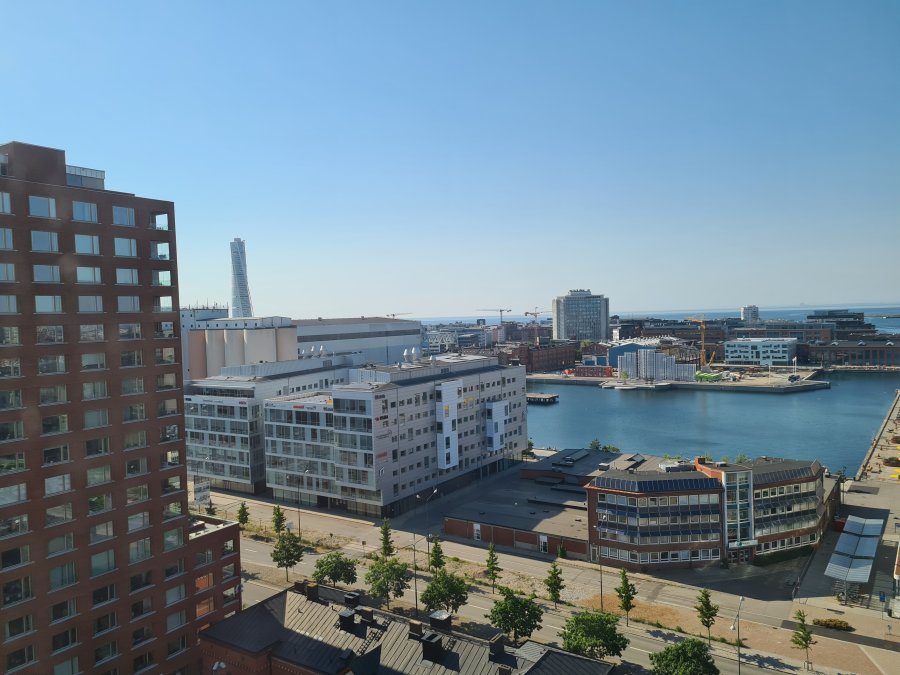 20210618_171845.jpg
