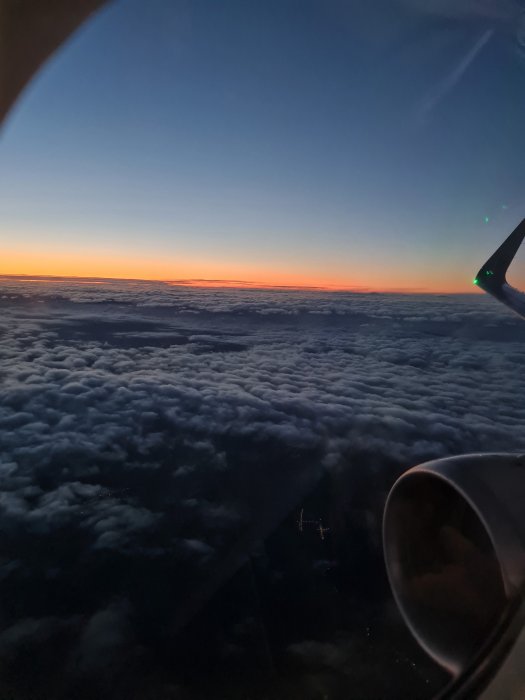 20211128_164459.jpg