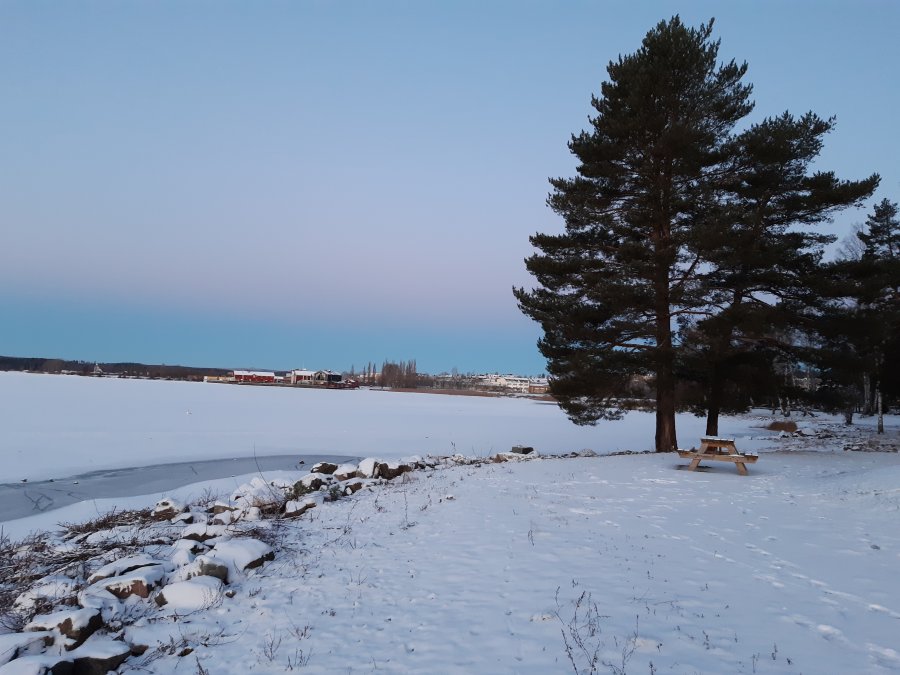 20211224_084807.jpg