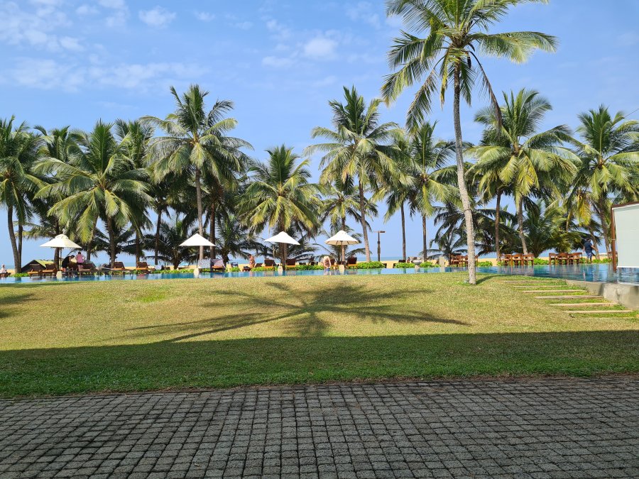 20220125_104500.jpg