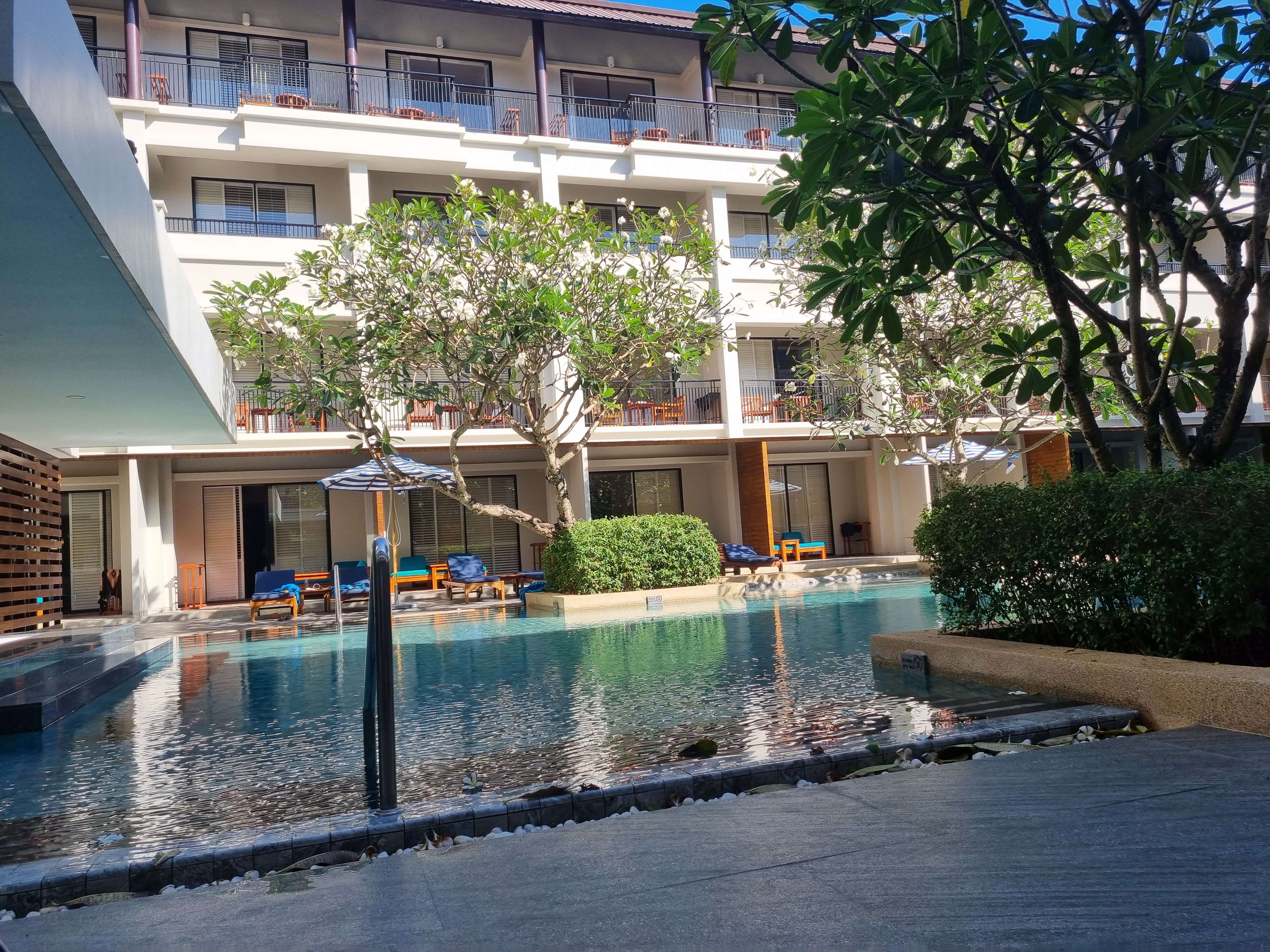 20220130_154655.jpg