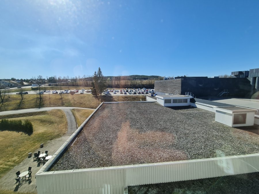20220422_142059.jpg