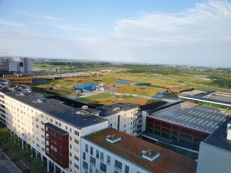 20220609_061846.jpg