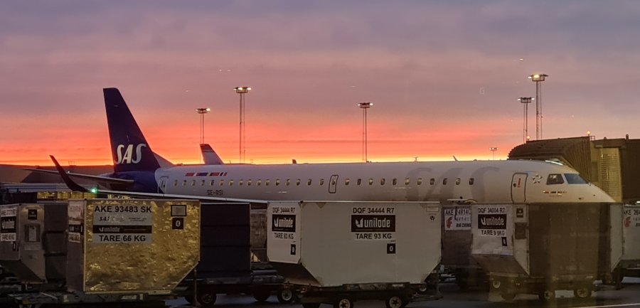 20221104_164236.jpg