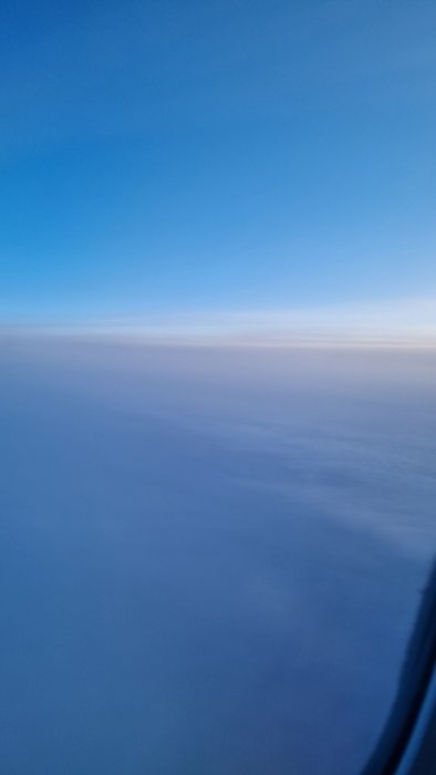 20221108_153555.jpg