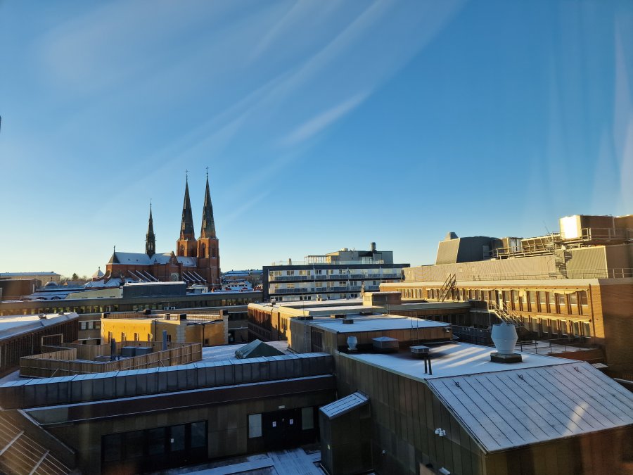 20230103_110109.jpg