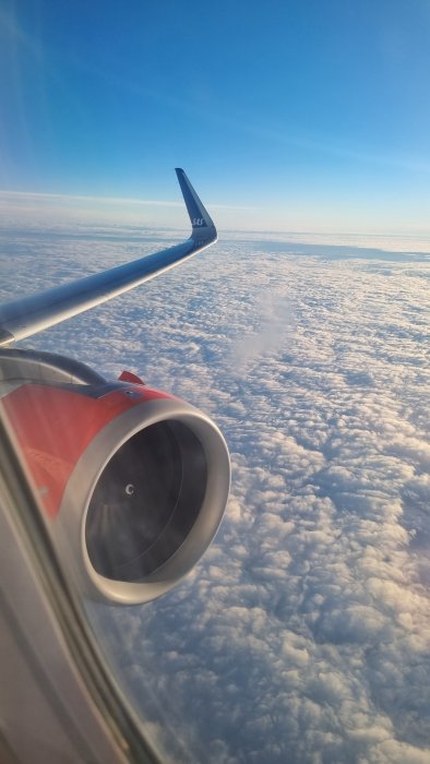 20230110_093734.jpg