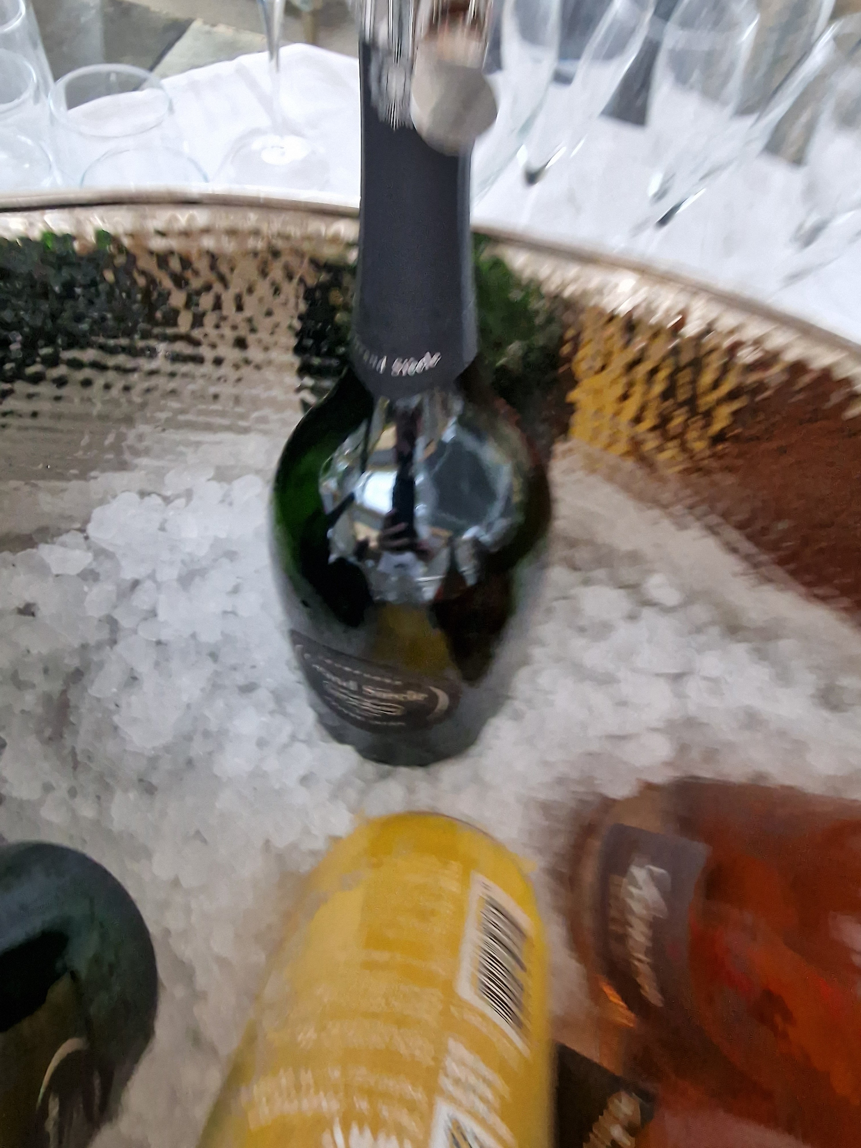 20230309_133835.jpg