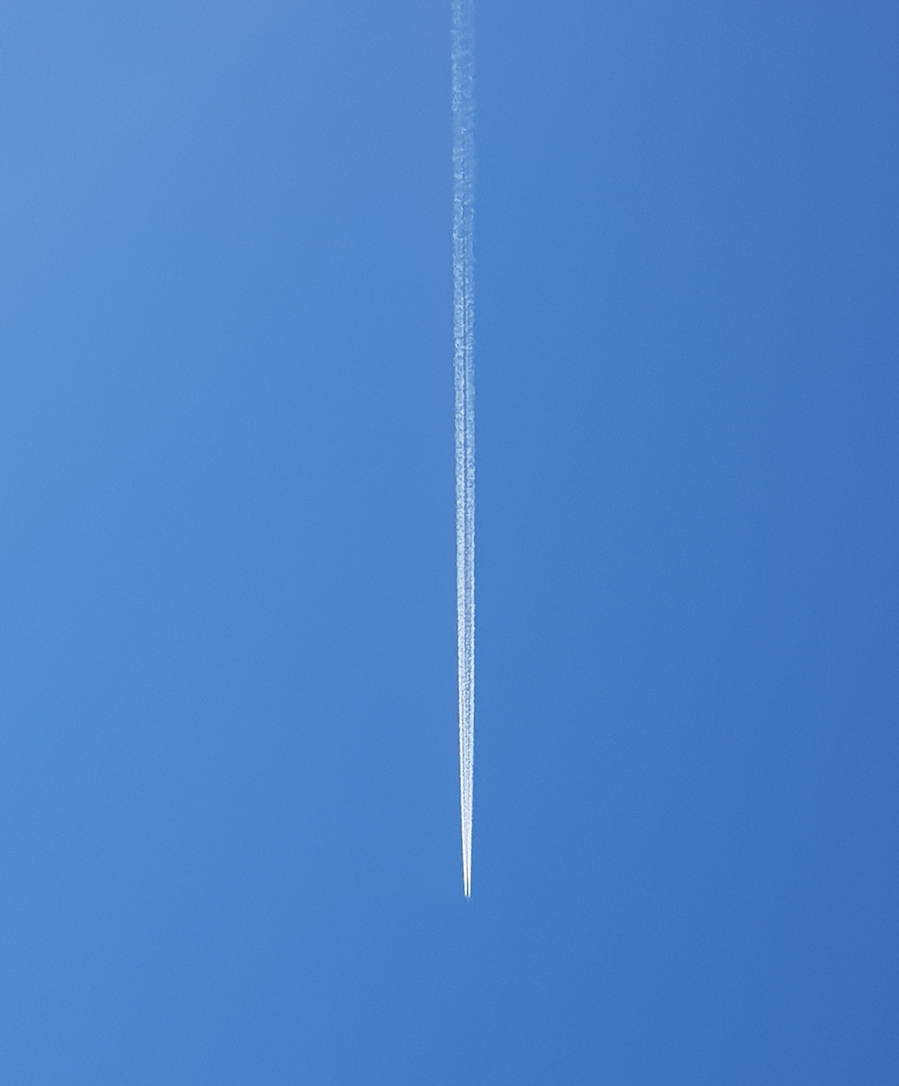20230422_114827.jpg