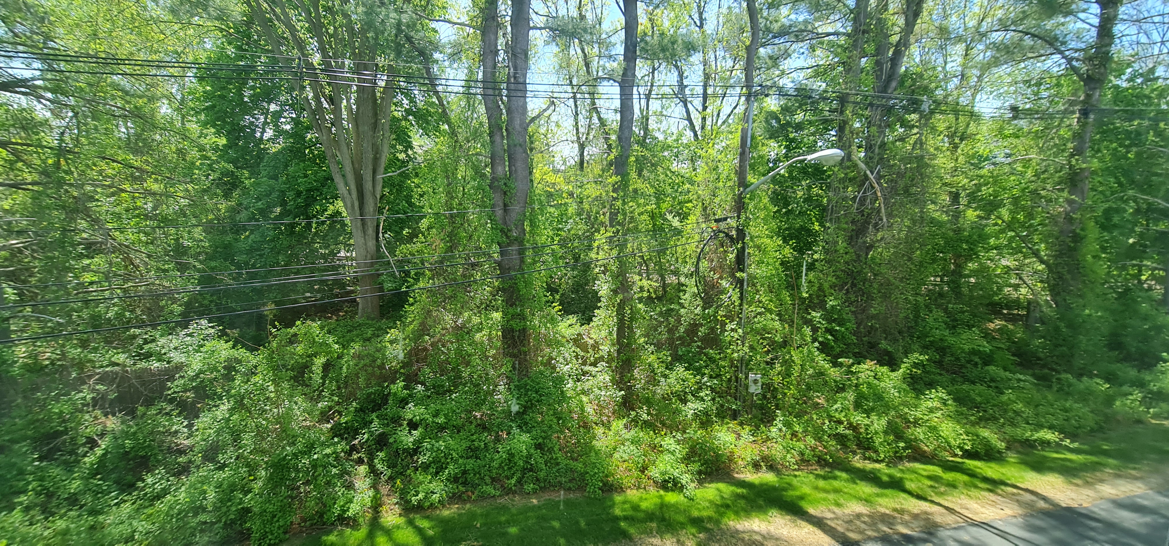 20230518_145917.jpg
