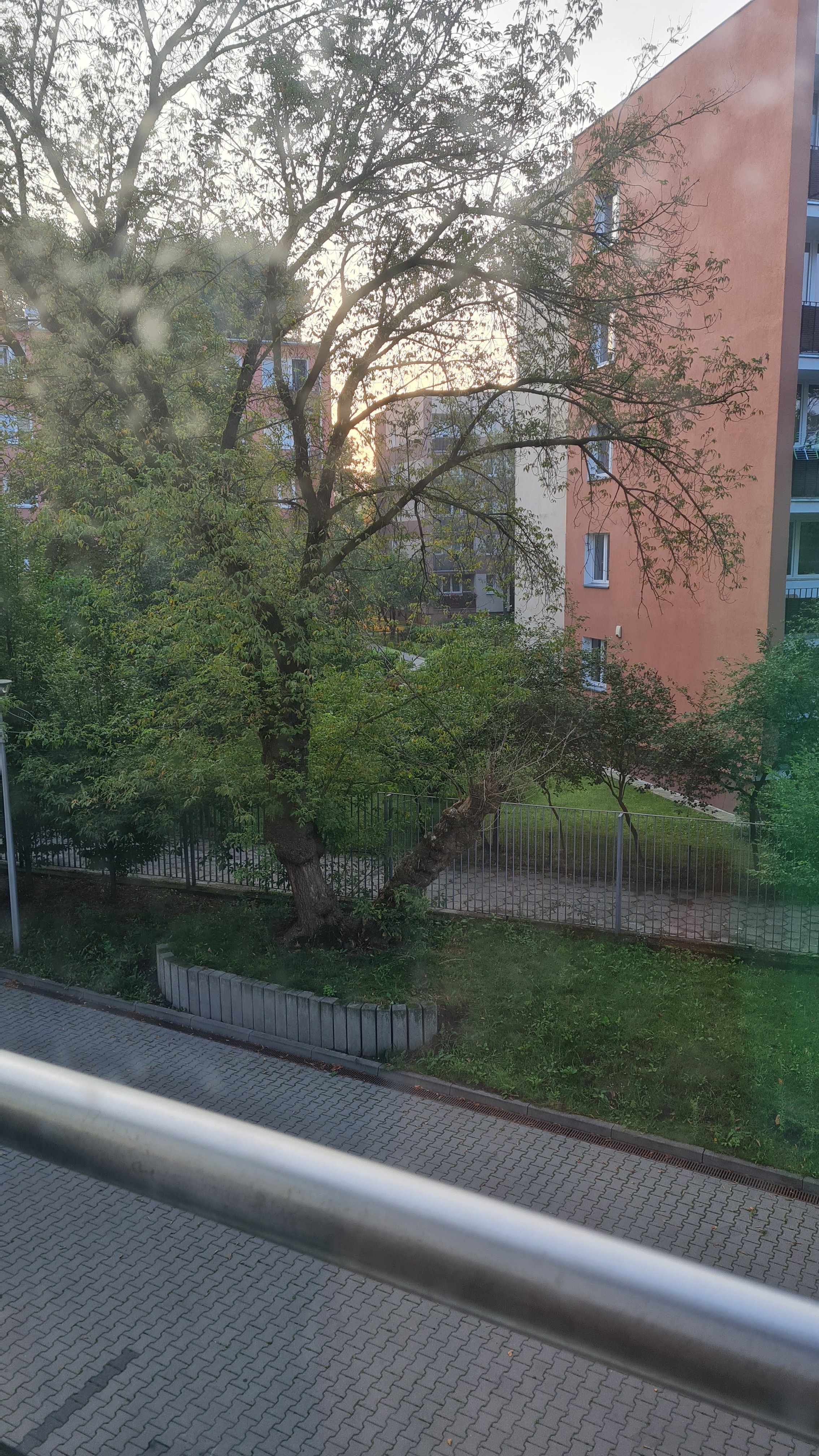 20230820_061543.jpg