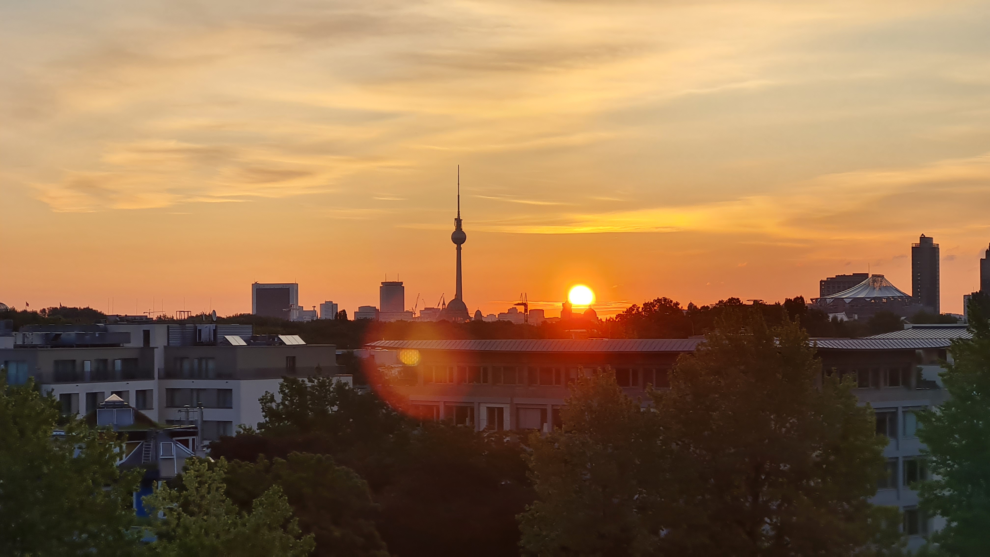 20230828_061842.jpg