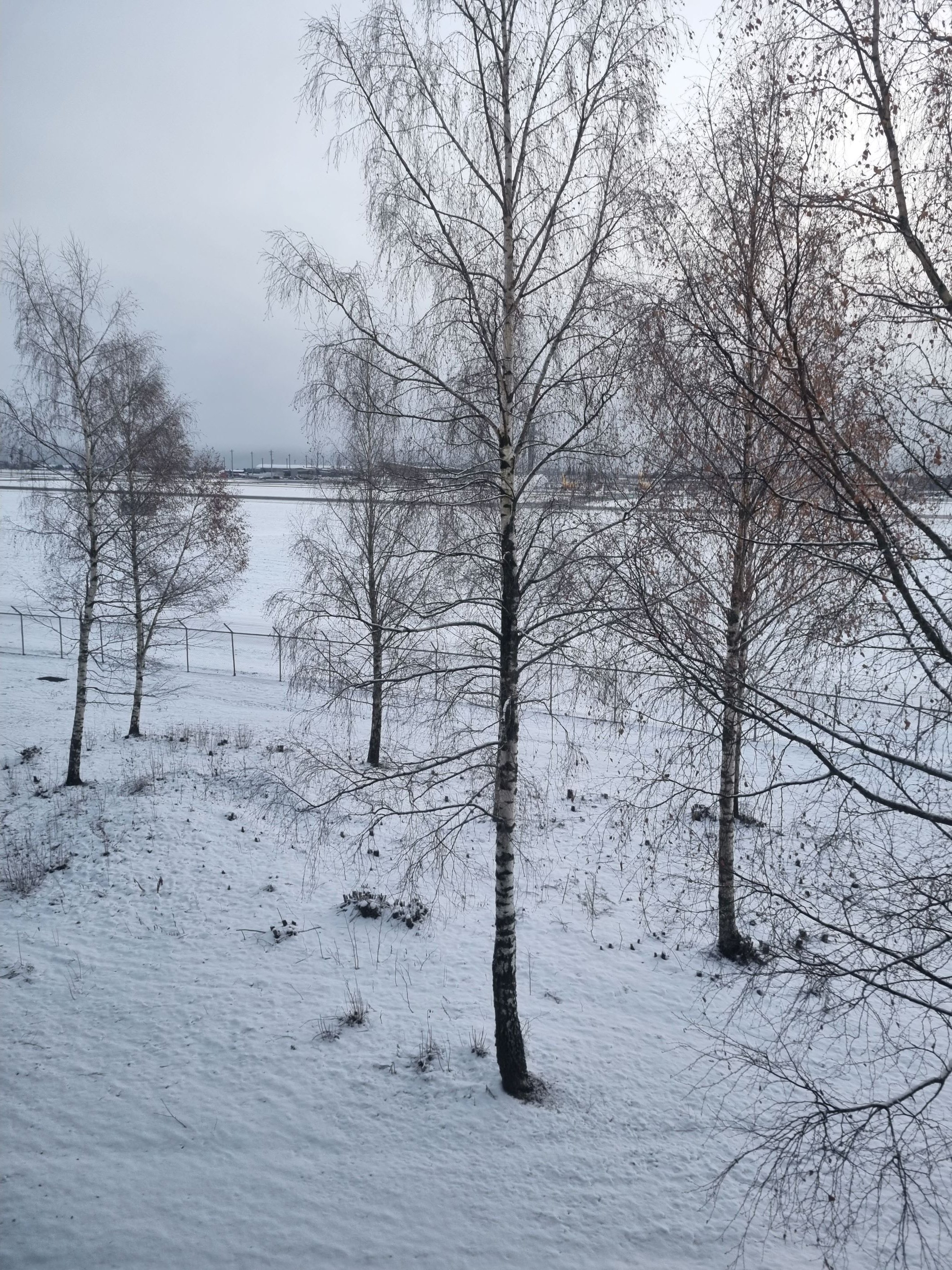 20231121_085329.jpg