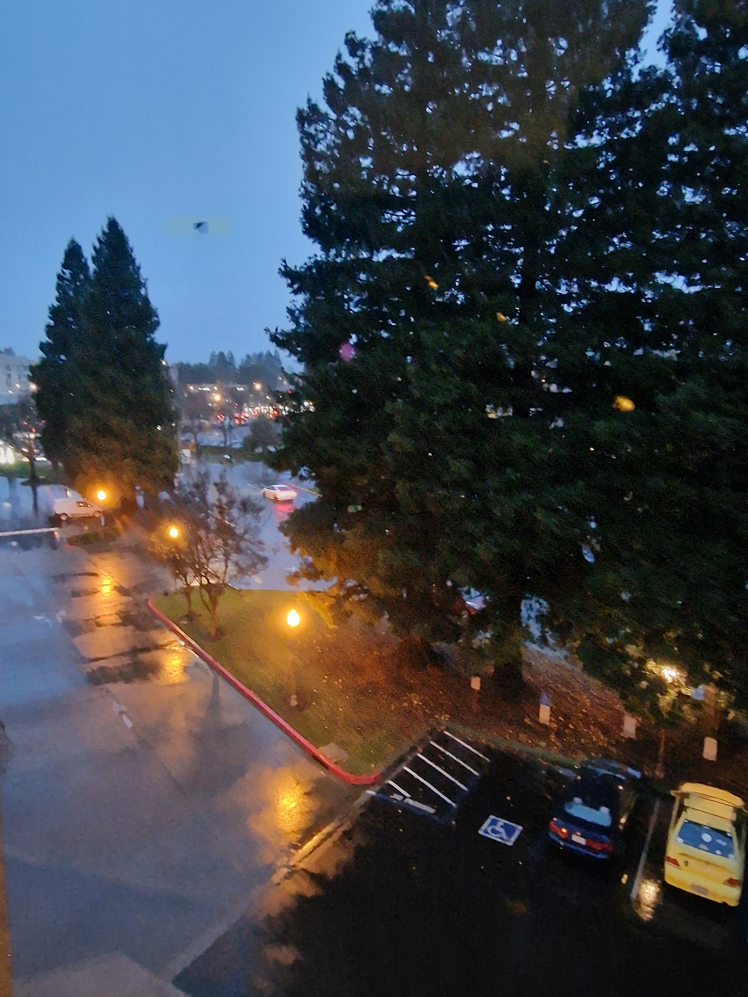 20231229_165109.jpg