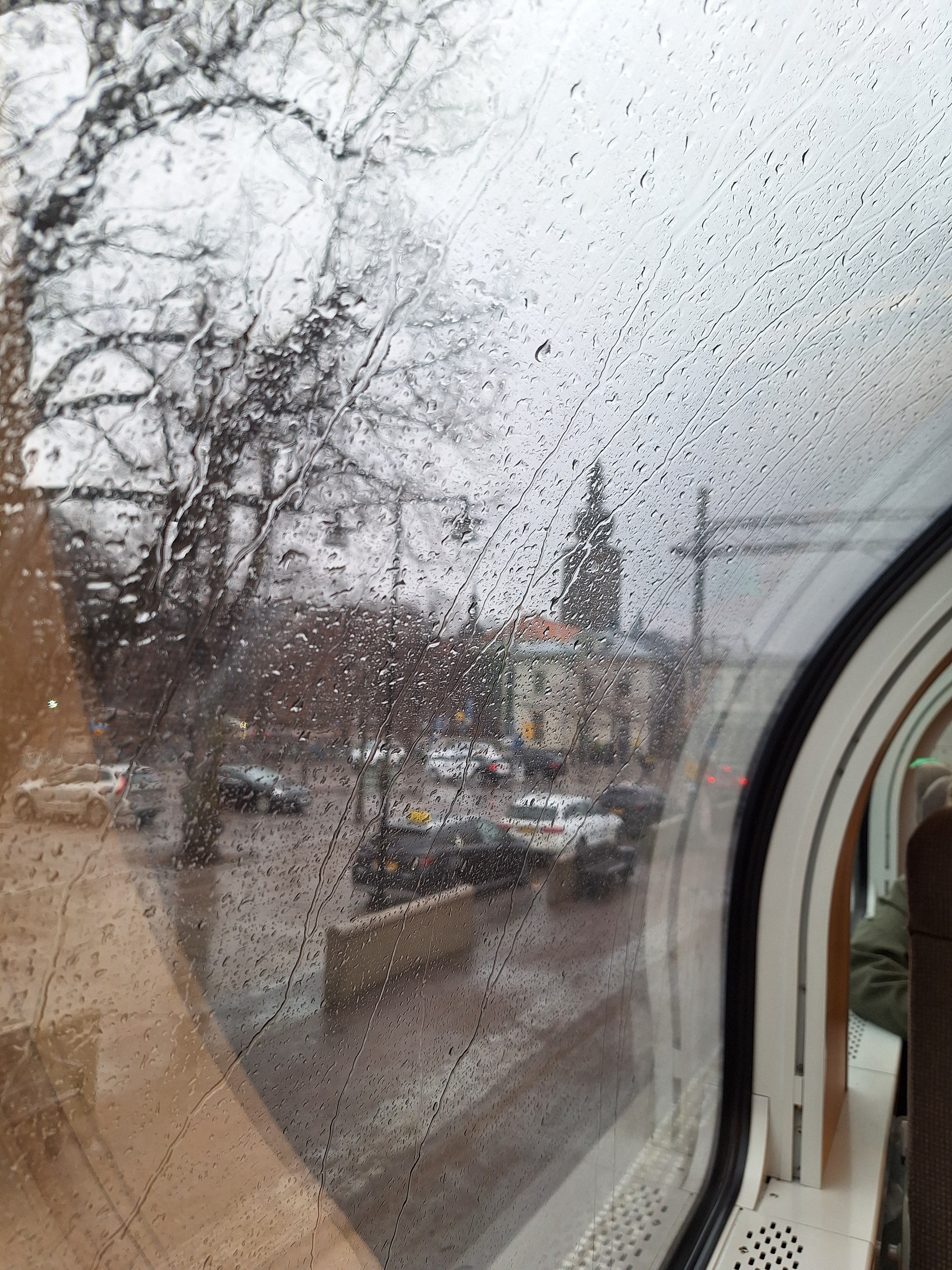 20240316_095050.jpg
