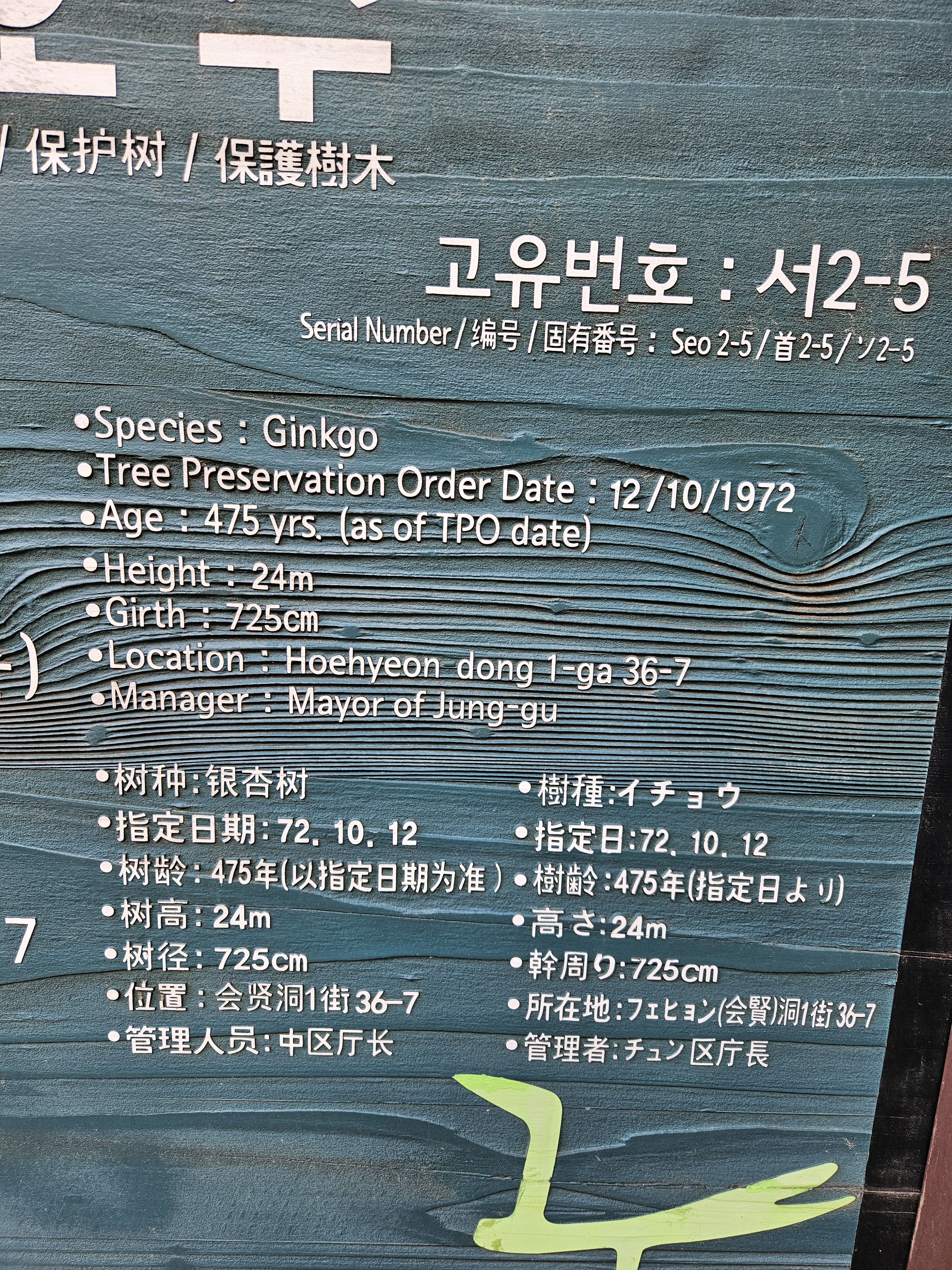 20240607_174141.jpg