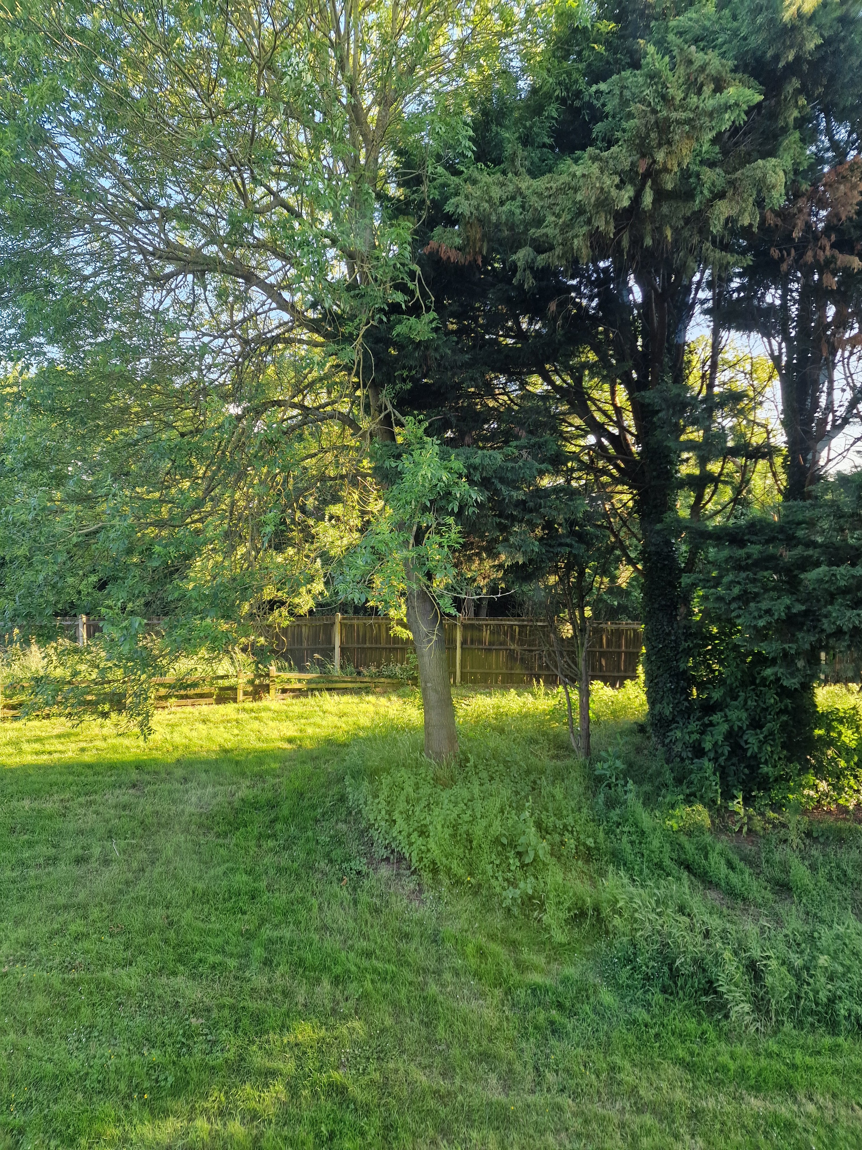 20240608_194246.jpg