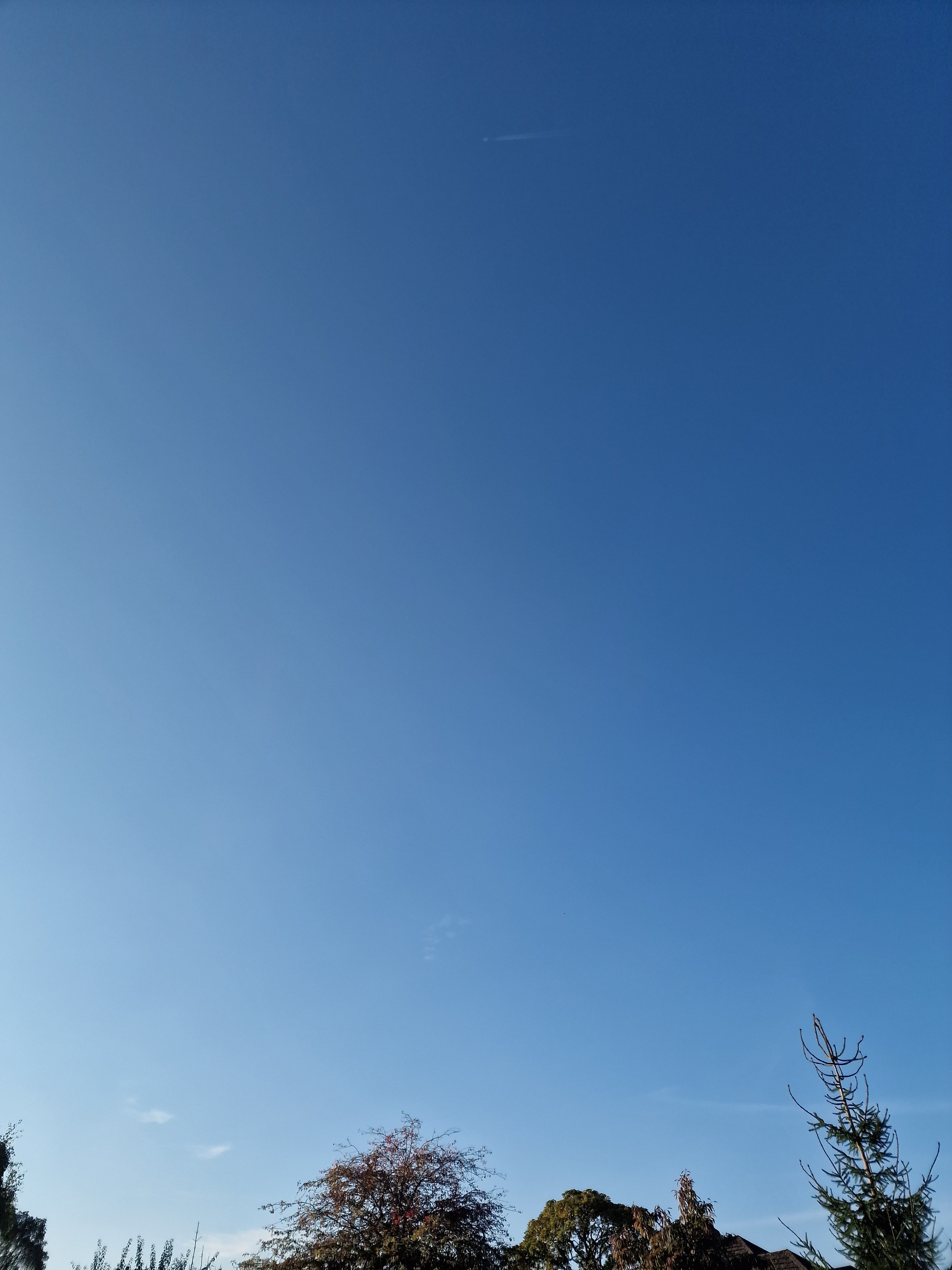 20241005_091112.jpg