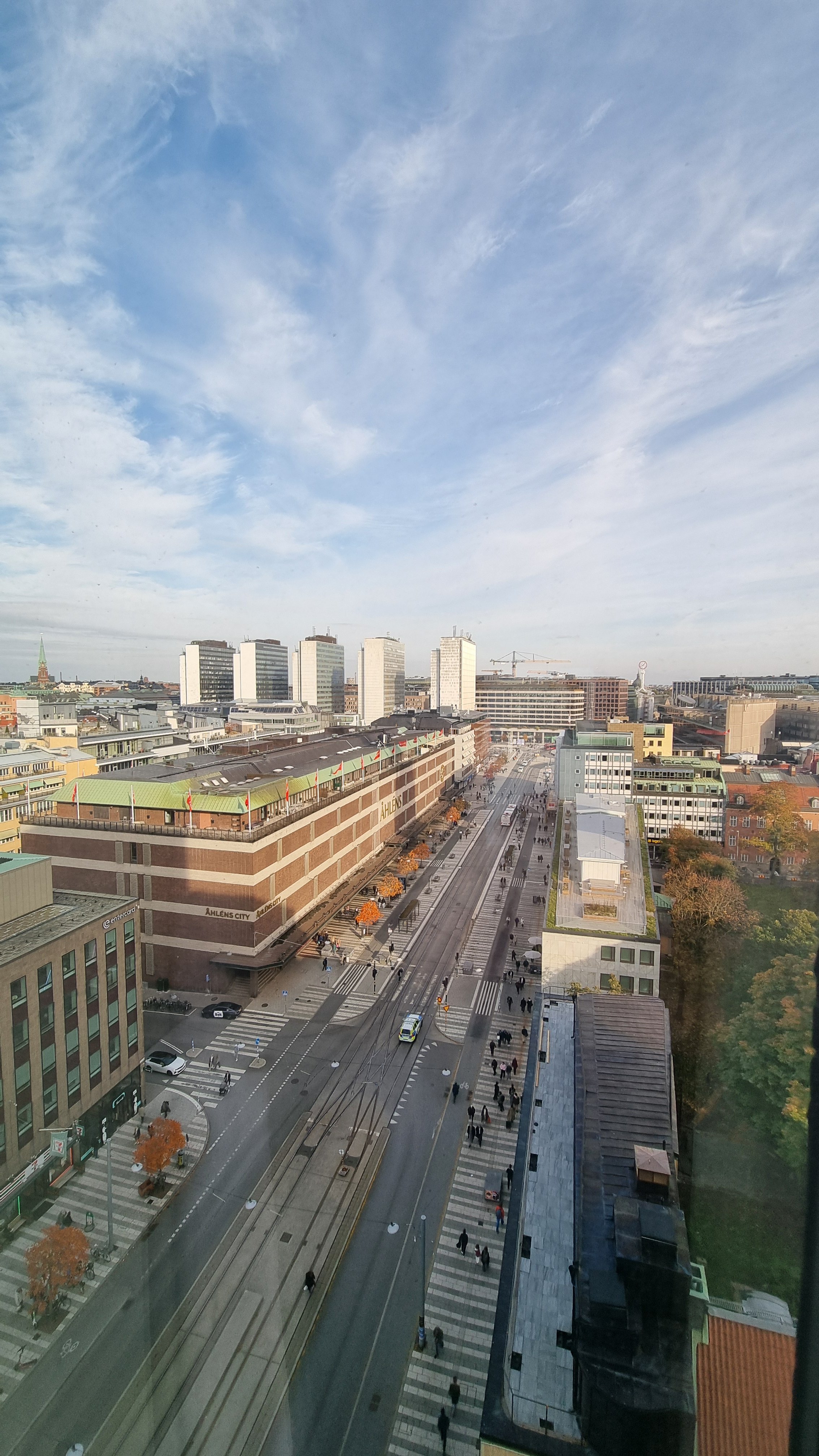20241018_134204.jpg