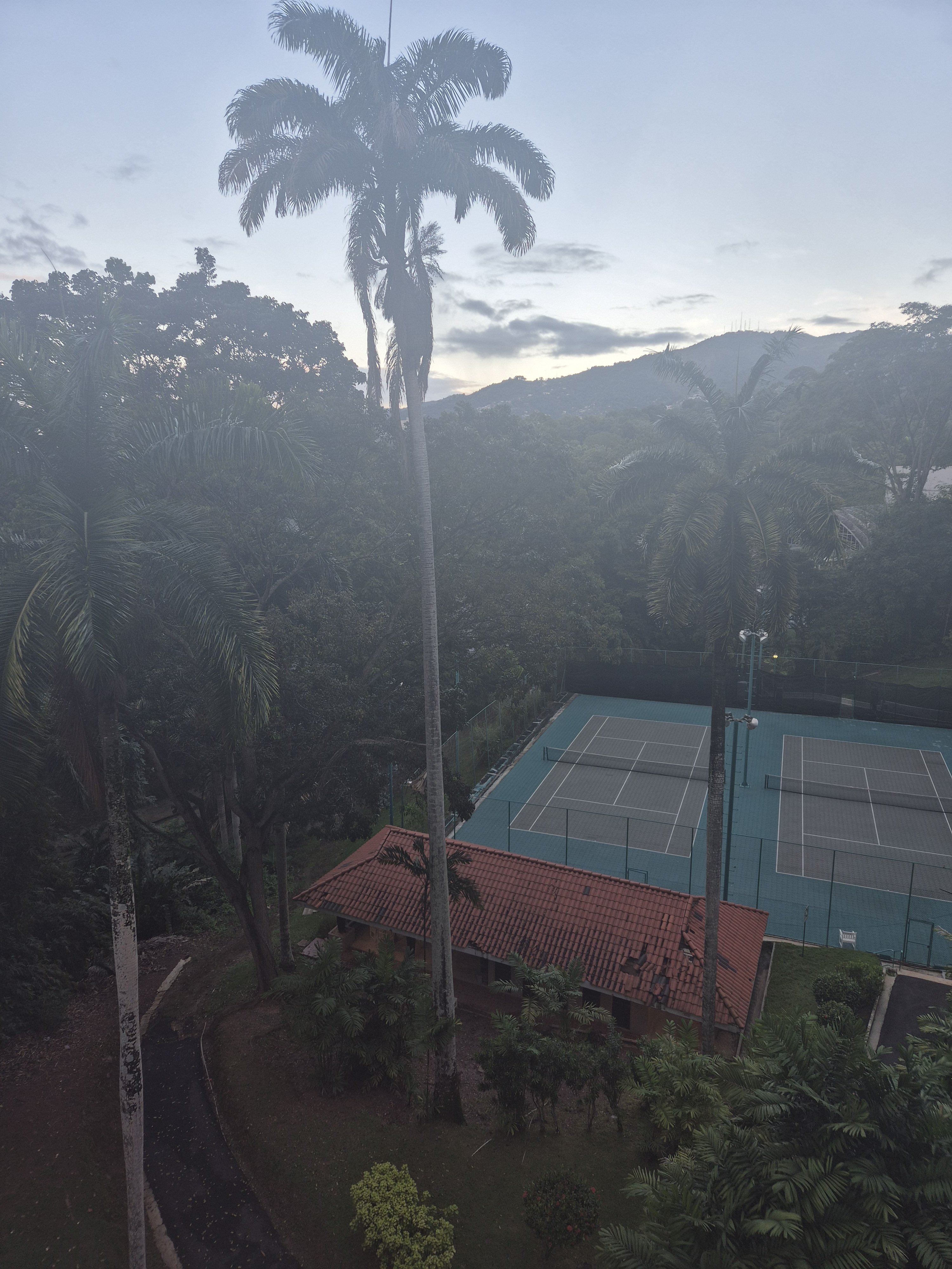 20241217_064435.jpg
