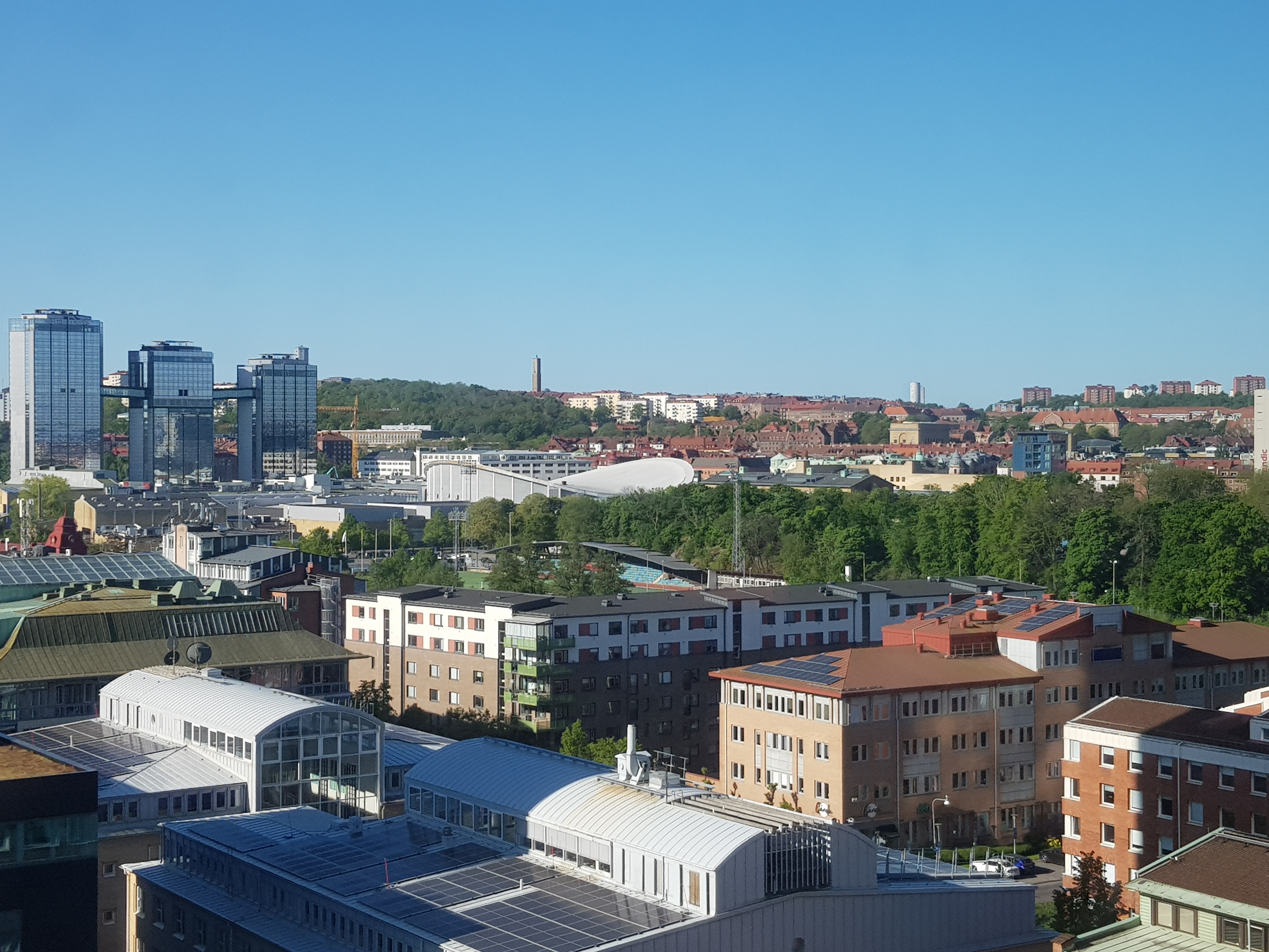 20250520_081547.jpg