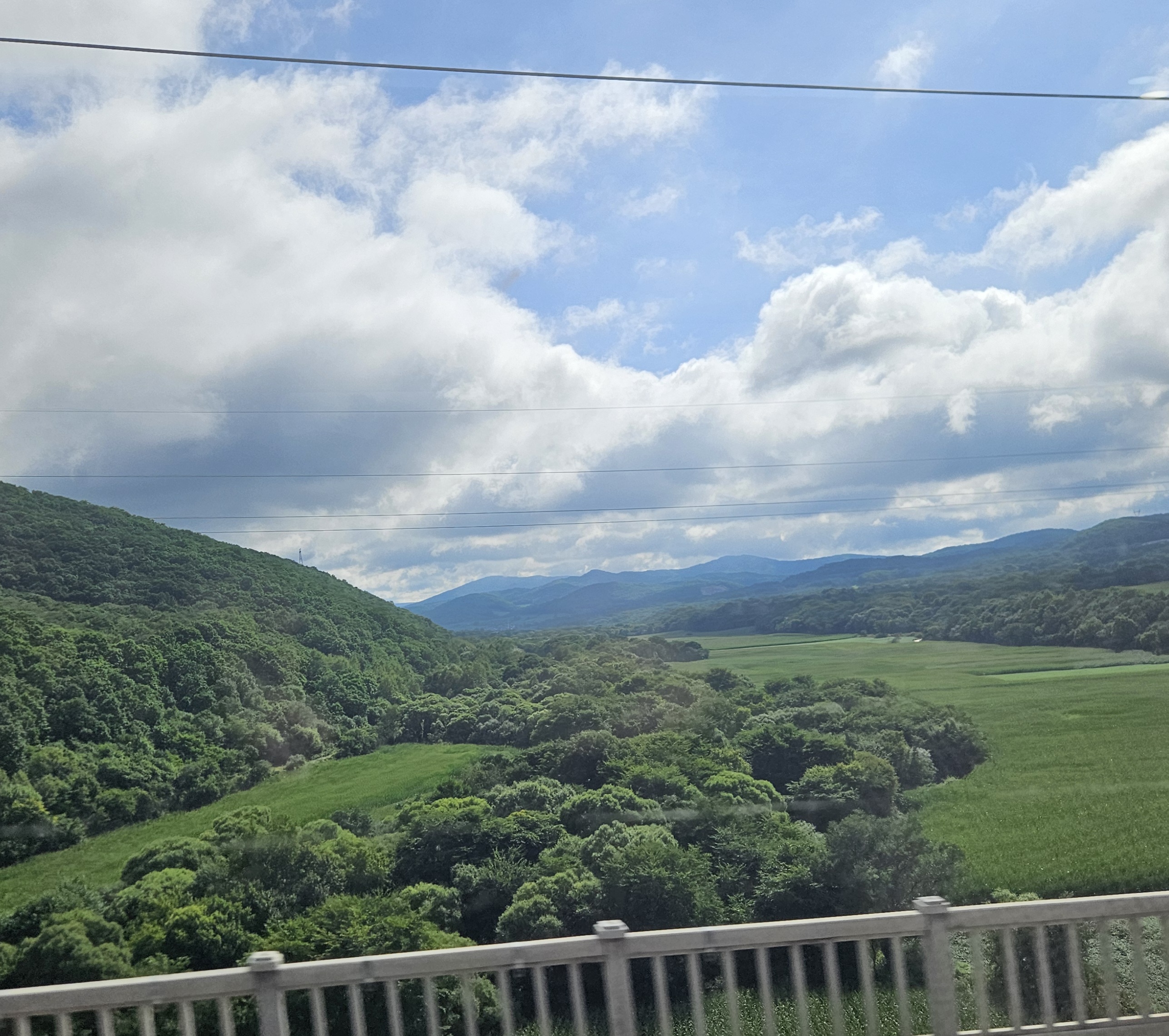 20250827_084549.jpg