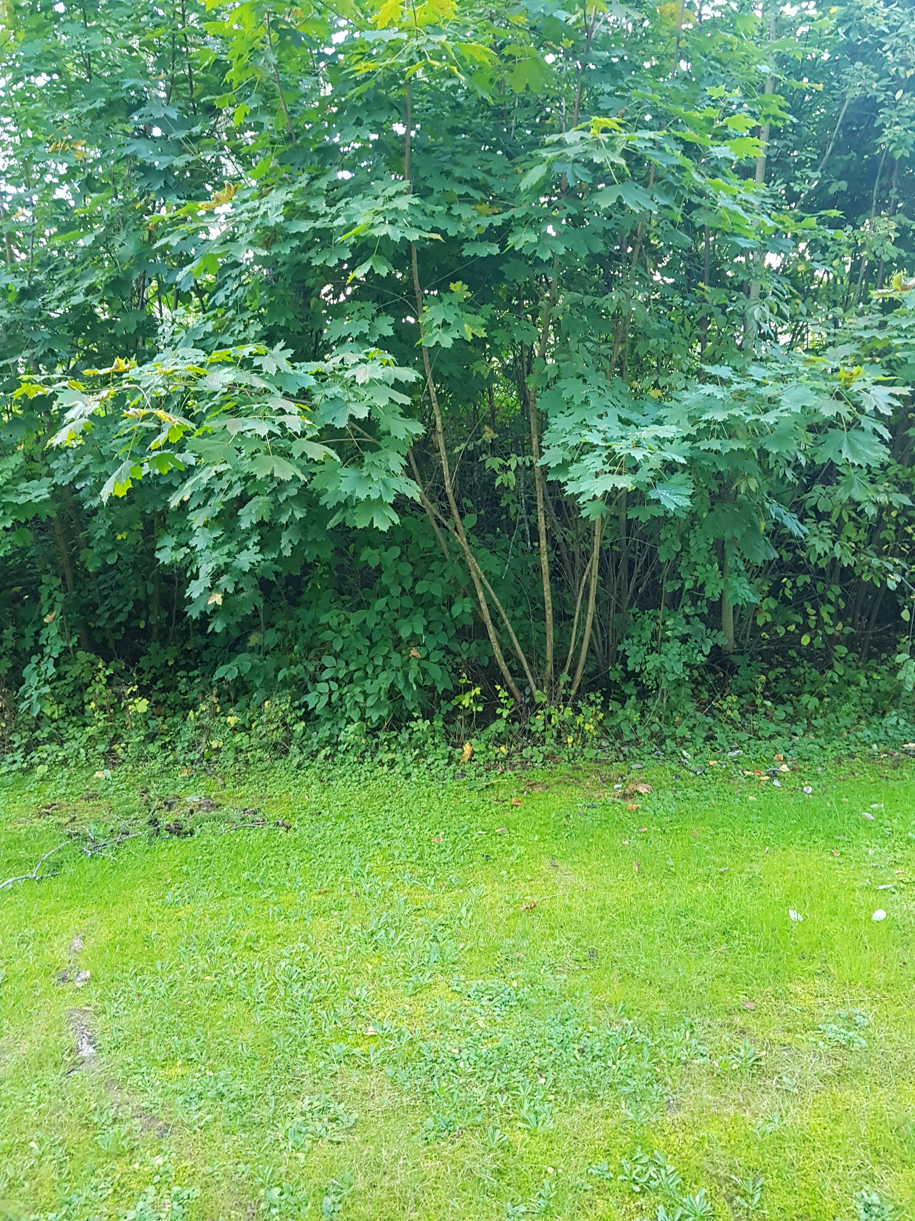 20250917_174535.jpg