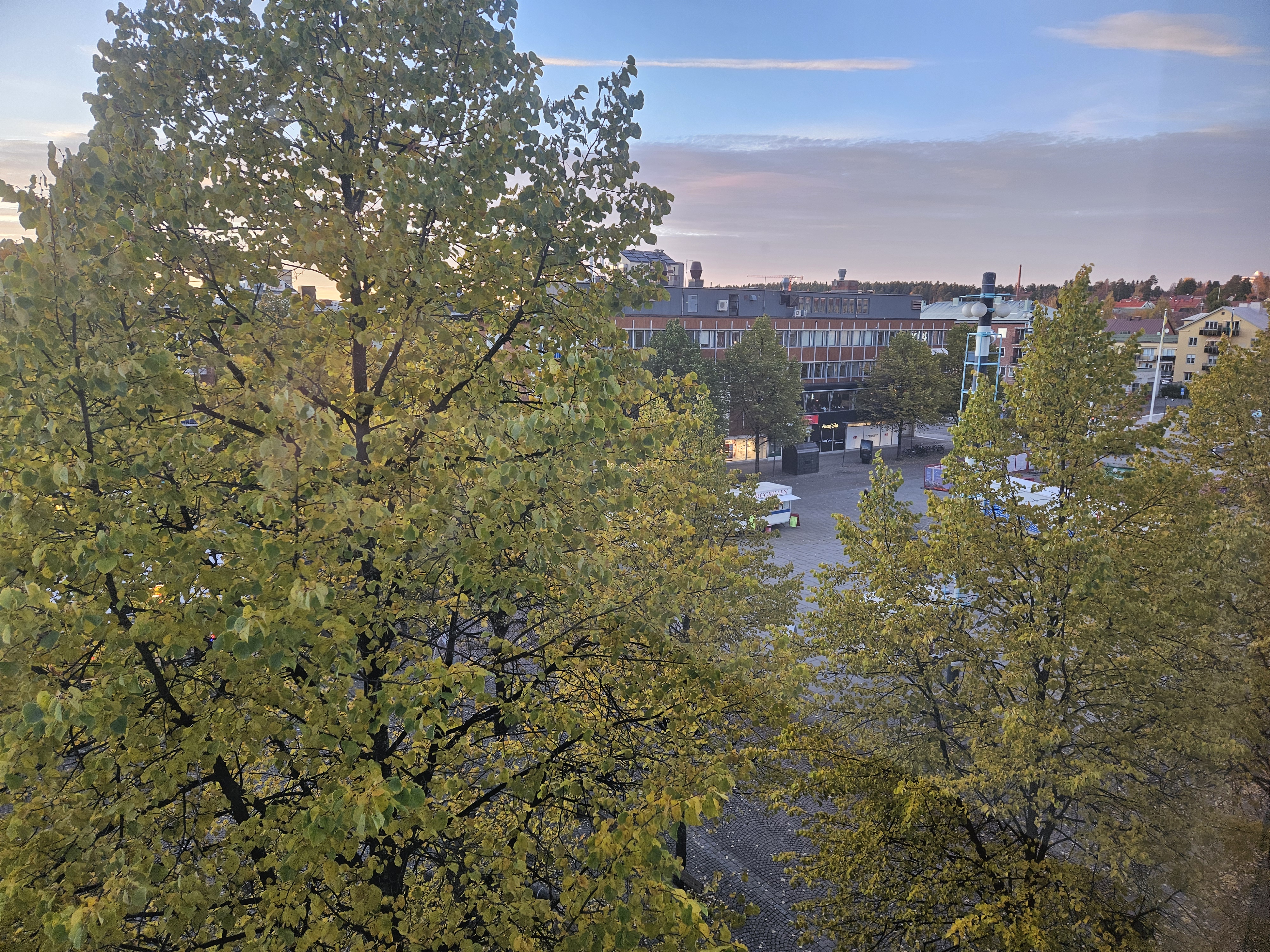 20251014_170800.jpg