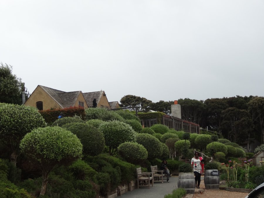 24298EAF-F54A-4052-B773-F6CF1AC1D9B8.jpeg