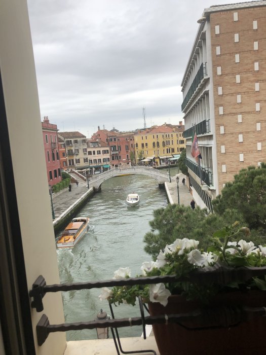 28F17ABD-71E5-4E7E-9691-08D414B21B00.jpeg