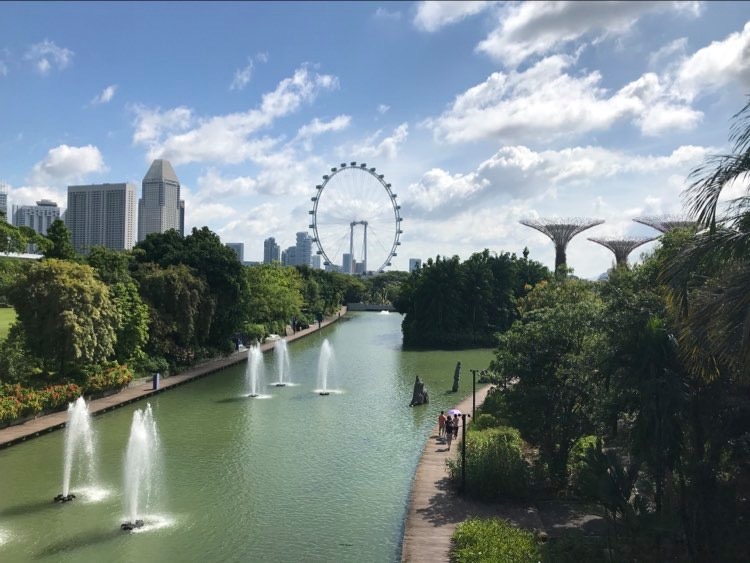 303AEAAC-C06C-406E-9CC6-1E30107C65C2.jpeg