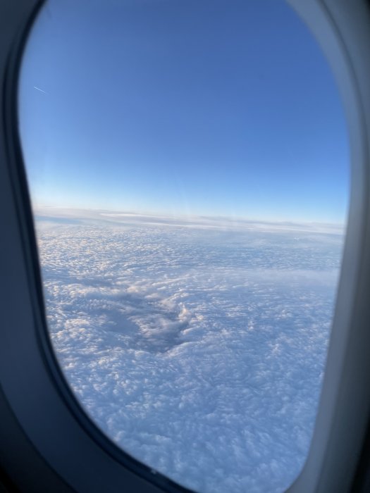 34250750-FC02-41B2-AE45-C0D2D538A374.jpeg