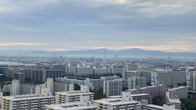 456F03D2-55F6-4715-BCAB-1ABC5B93CEA3.jpeg