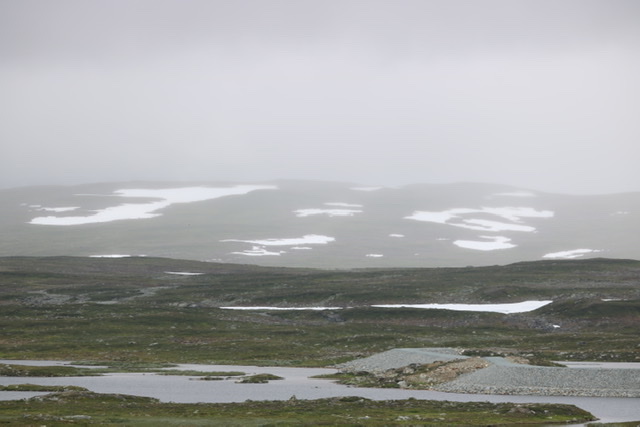4EE57332-7E30-4A37-BE2F-3C2396CDA325.jpeg