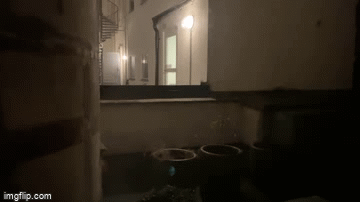 4q49mb.gif