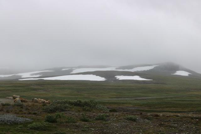 5130066A-9590-4538-92A5-9208265E875D.jpeg