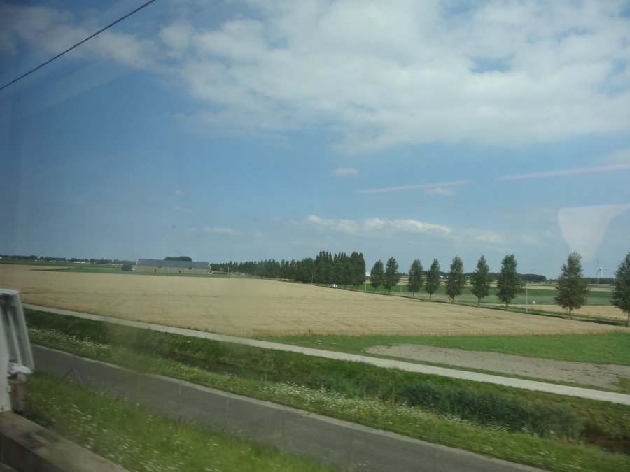 542EDBB8-AA8B-42EF-B3F3-4B0D3041C342.jpeg