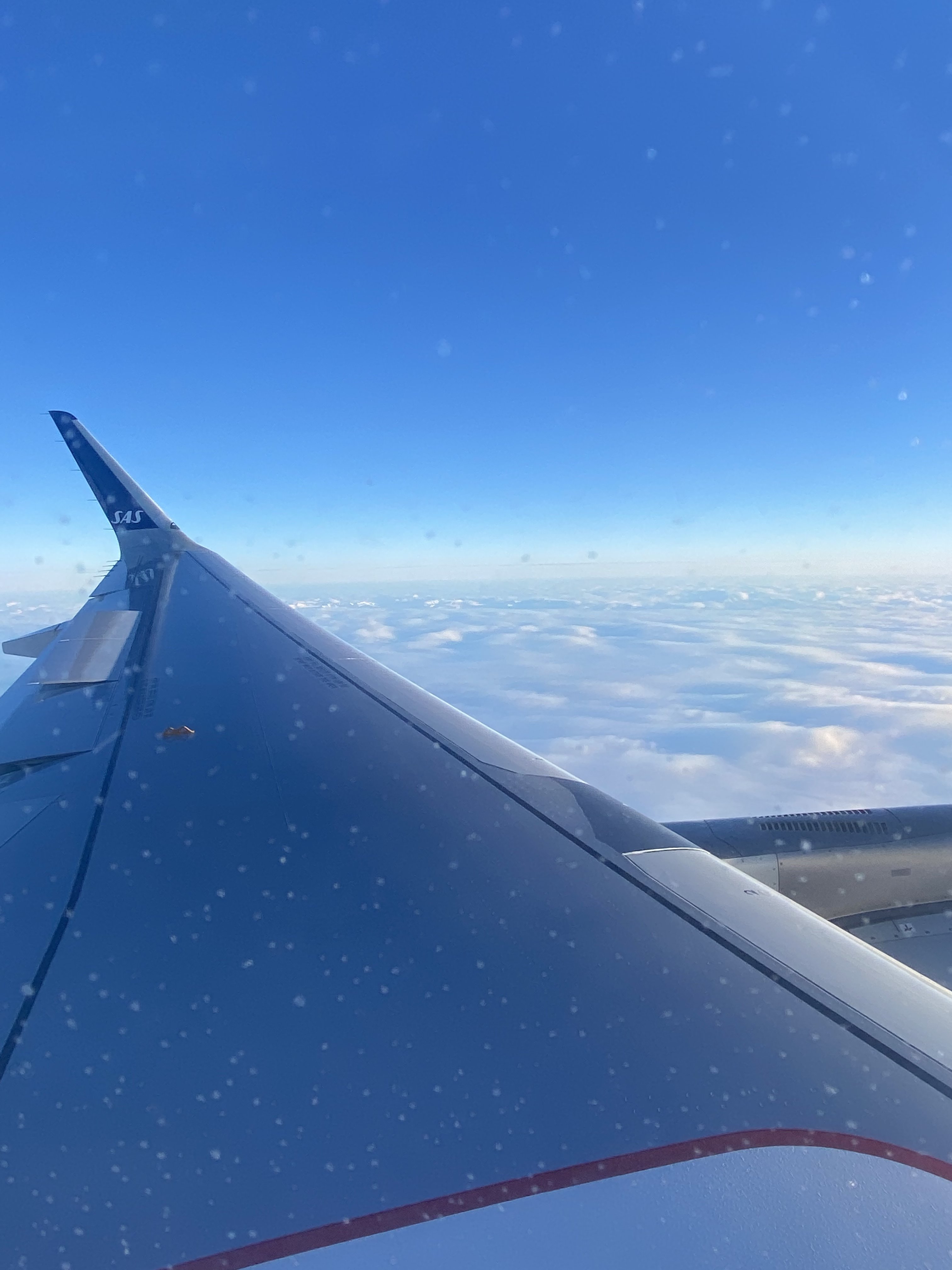 562F46BC-5223-412F-AFA3-5B0E76BD7D67.jpeg