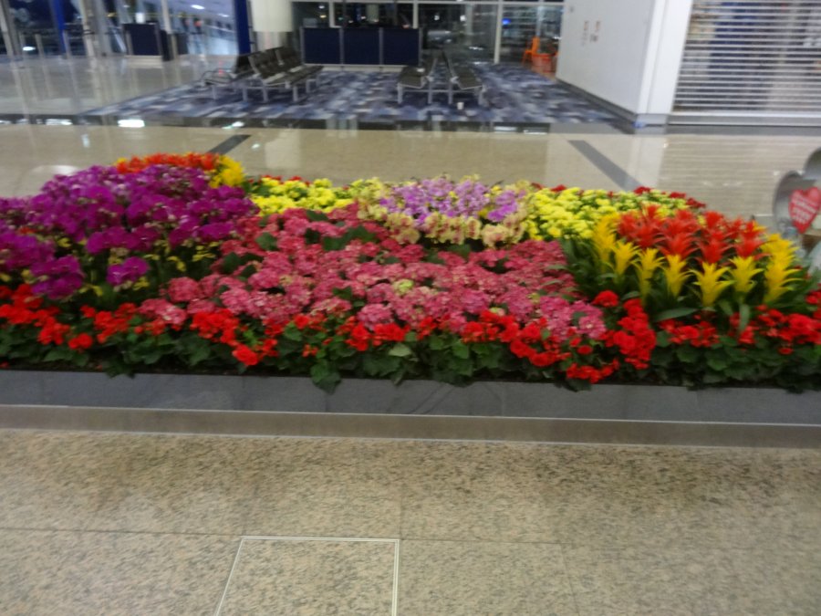 74B0654A-28B6-452D-8B81-DB942AC89D1E.jpeg
