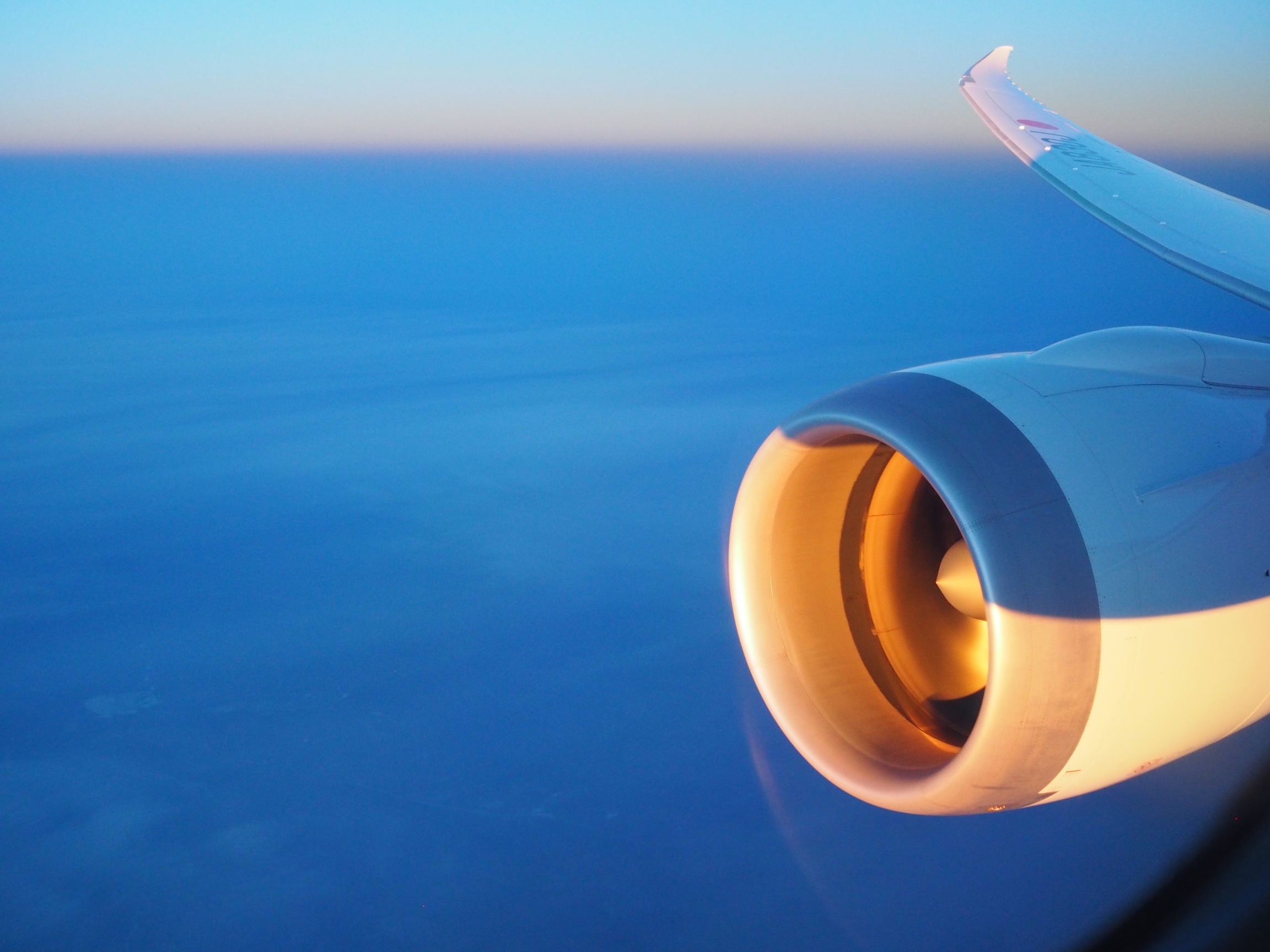 787-vinge.jpg