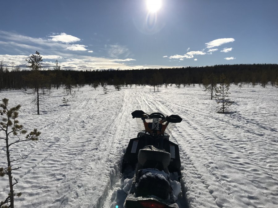 7C553C18-7F39-485B-8A0D-DF2B517FA041.jpeg