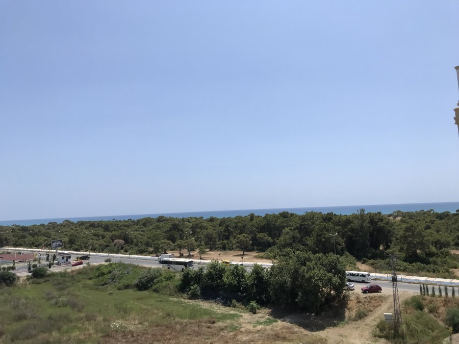 7D8E8338-745F-4AB7-A7CE-648205F2D086.jpeg