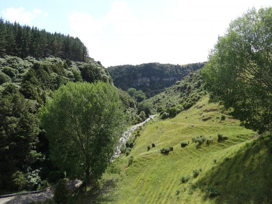 814D0729-63BB-4F3E-811F-FC944DF4714D.jpeg