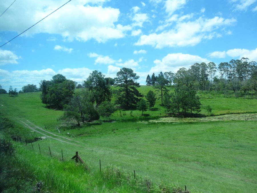 91637BD3-E31A-464A-8D3C-7C567BD5AB97.jpeg