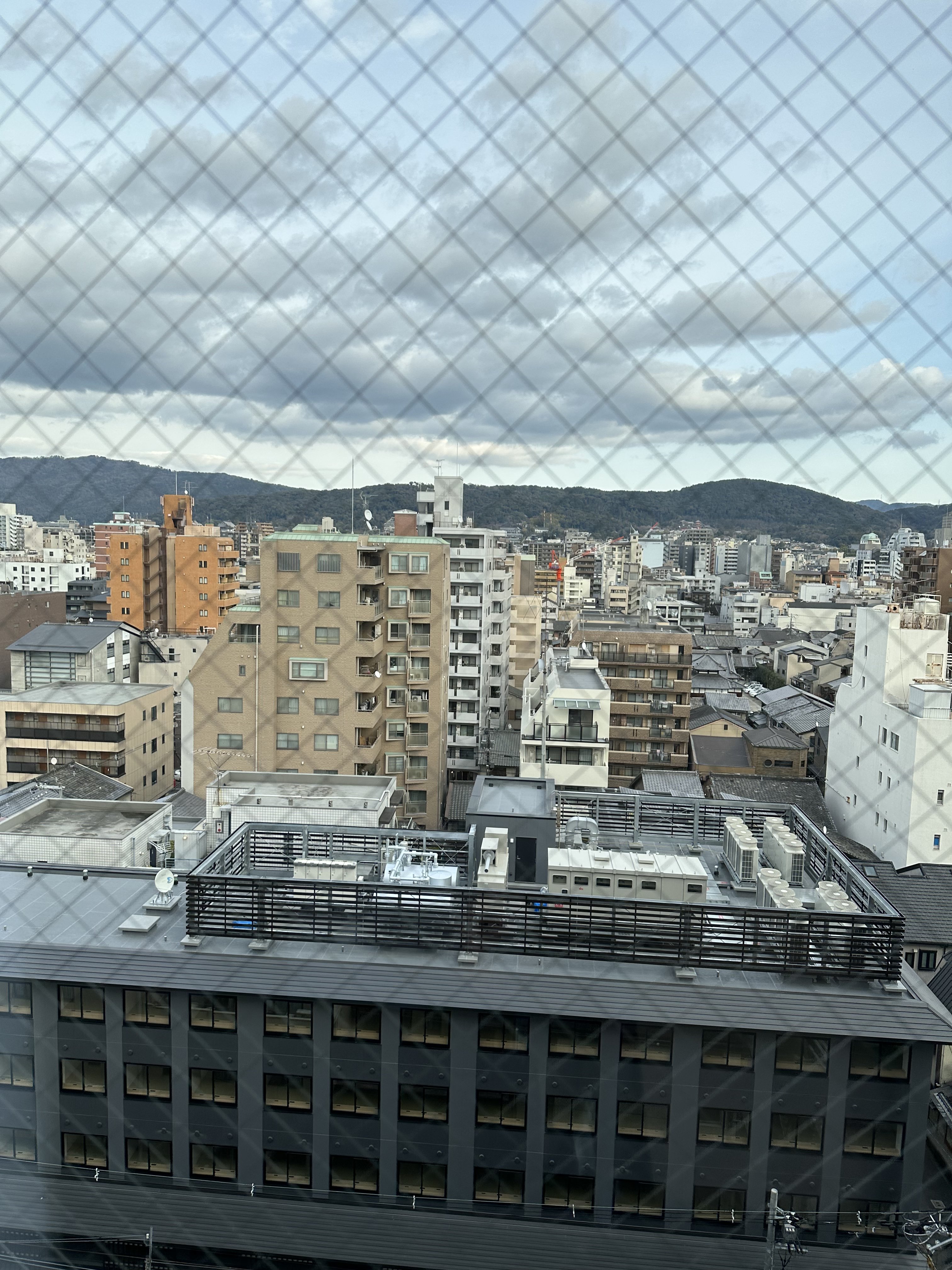 97560B26-2E0F-46AC-A6A2-E7C9D7239F6D.jpeg