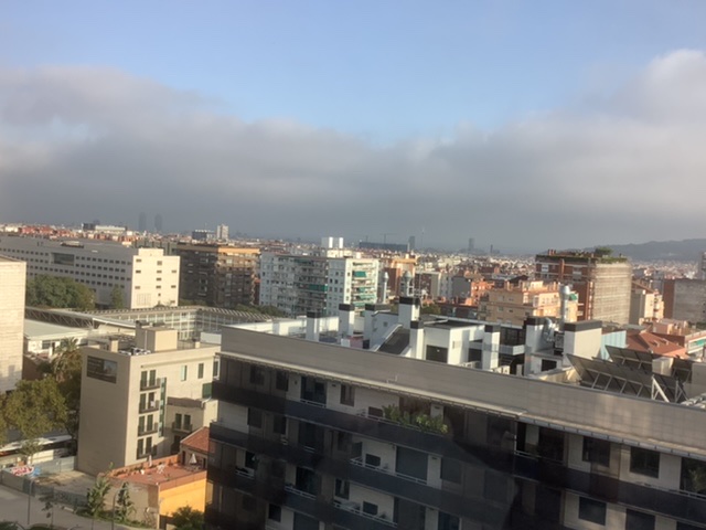98333664-A122-4D1C-AA09-3DC39749C25A.jpeg